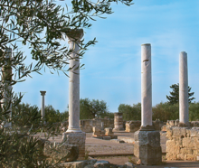 Temple Puglia